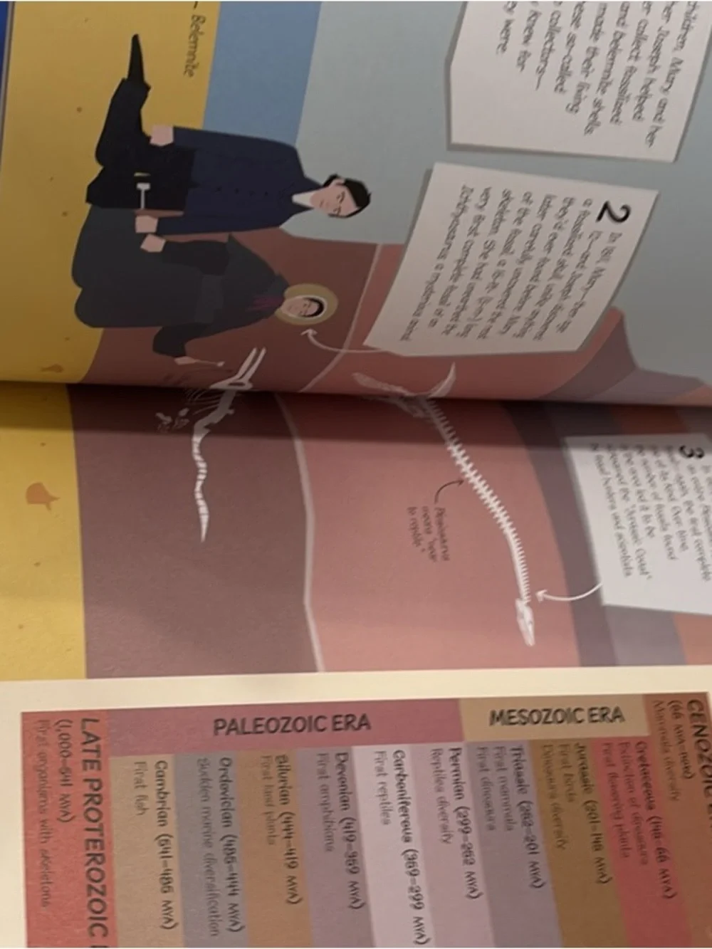 DK New What's the Point of Math and Science? Hardcover Book